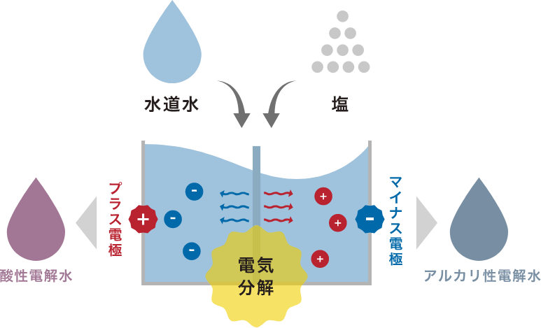 水道水と塩を電気分解し、酸性電解水とアルカリ性電解水を生成します