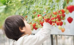 特定農薬としても活用